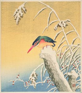 Martin-pêcheur dans la neige, 1935